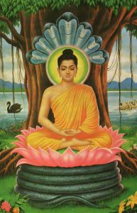 图片[1]-释迦牟尼 佛教創始人，娑婆三聖之主 - 俊才汇-俊才汇