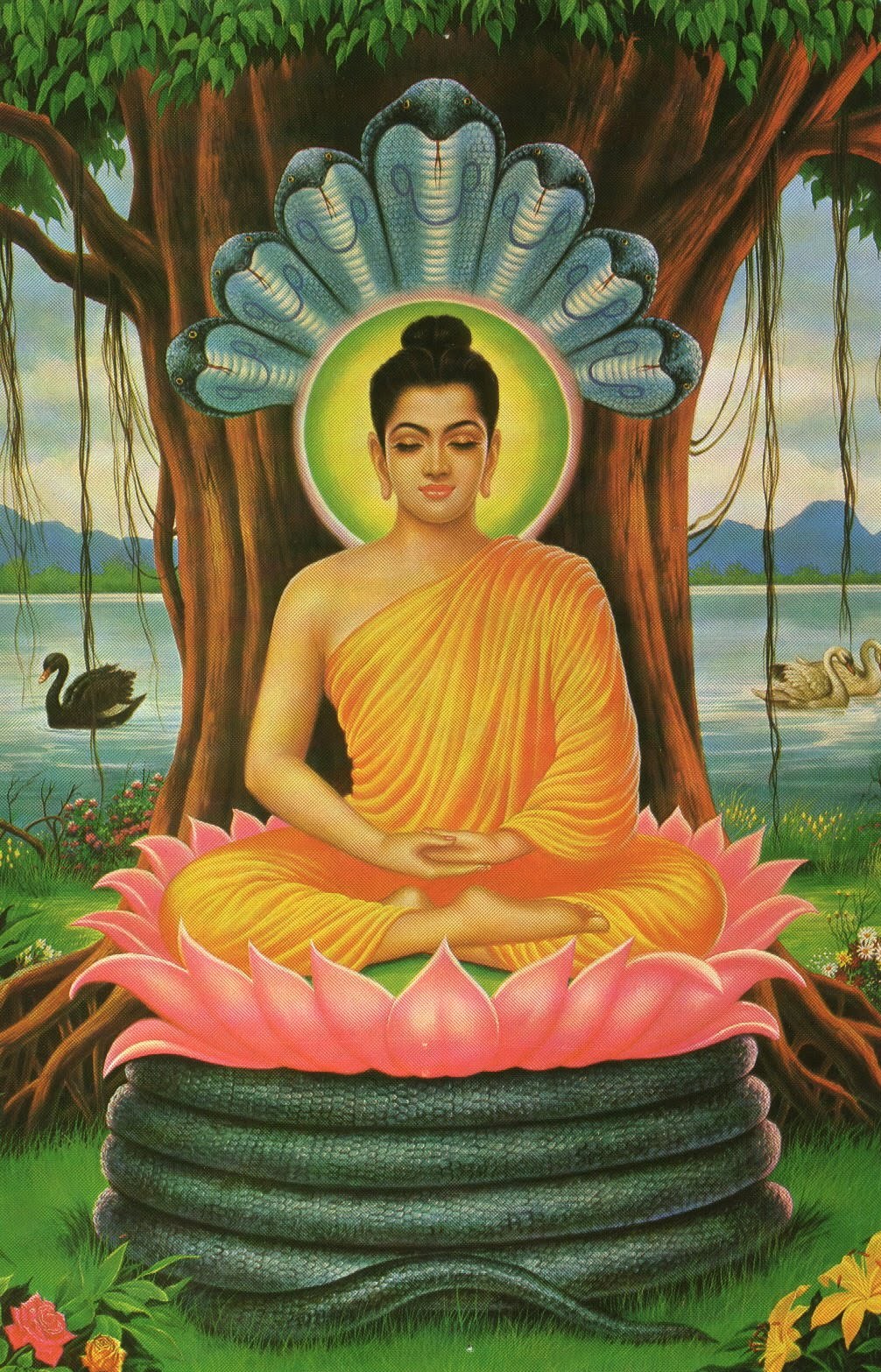 释迦牟尼 佛教創始人，娑婆三聖之主 - 俊才汇-俊才汇